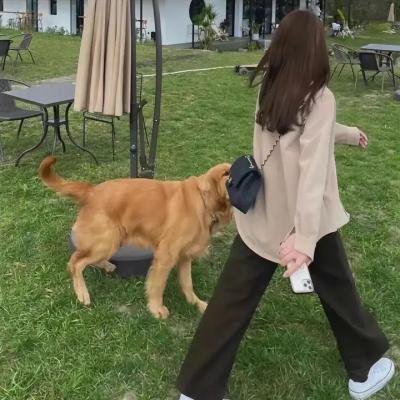 法拉维亚修女受难记
